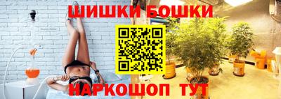 индика Славгород