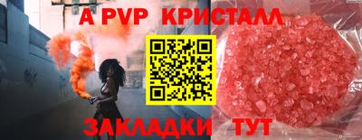 индика Славгород