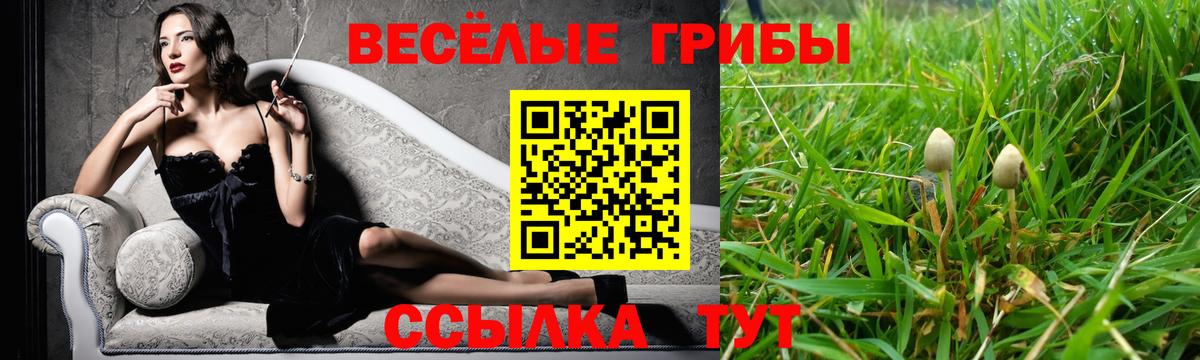 Галлюциногенные грибы мухоморы  Галлюциногенные грибы мицелий  Вход с VPN  Пугачёв 