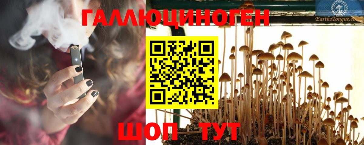 Пугачёв  Вход с VPN  Кокаин  ГАШ  Альфа ПВП СОЛЬ кристаллы  Мефедрон кристаллы  Канабис 